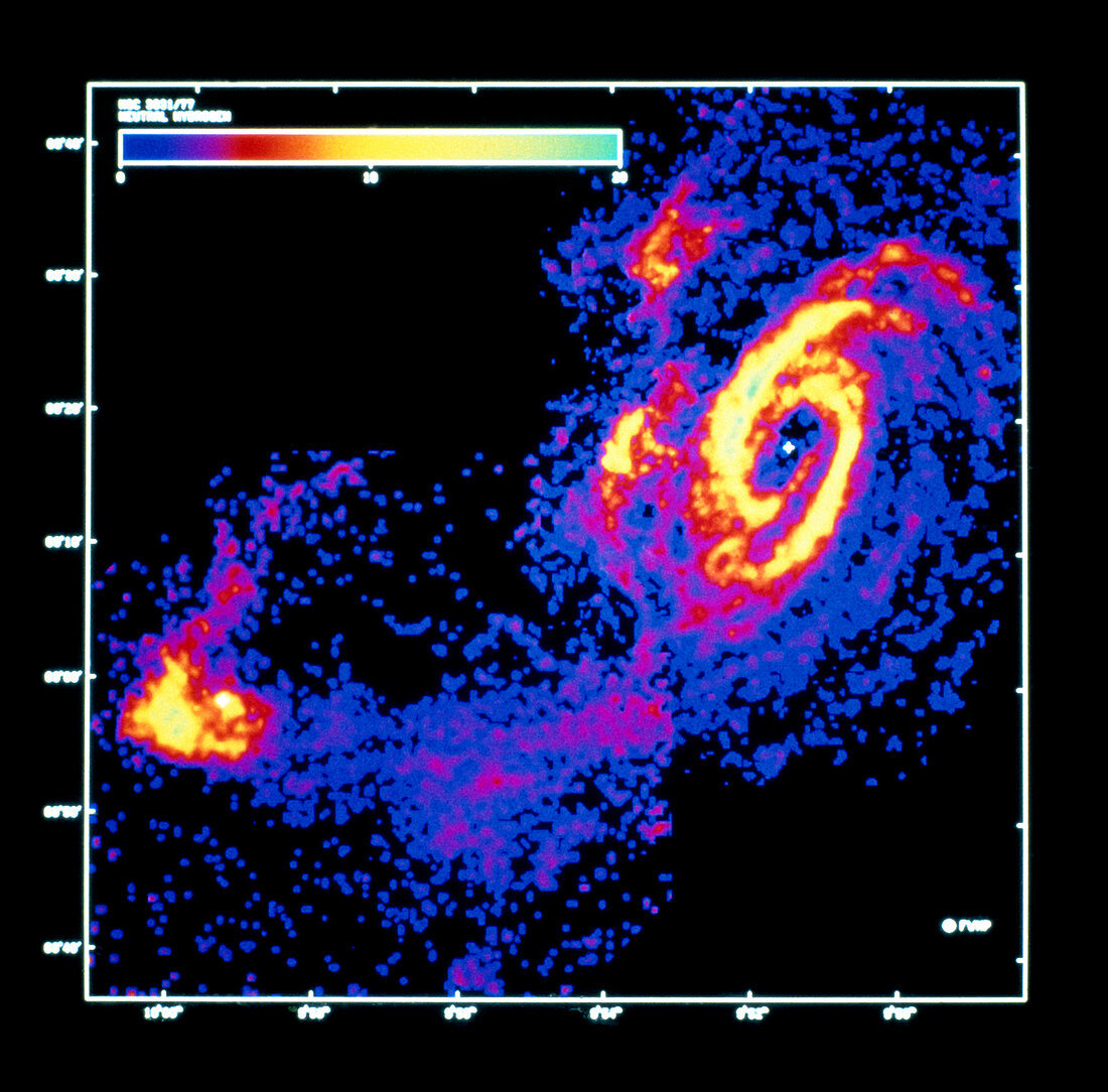 21cm radio map of galaxies M81 and NGC 3077
