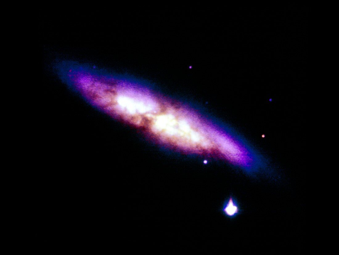 Optical CCD image of the irregular galaxy M82