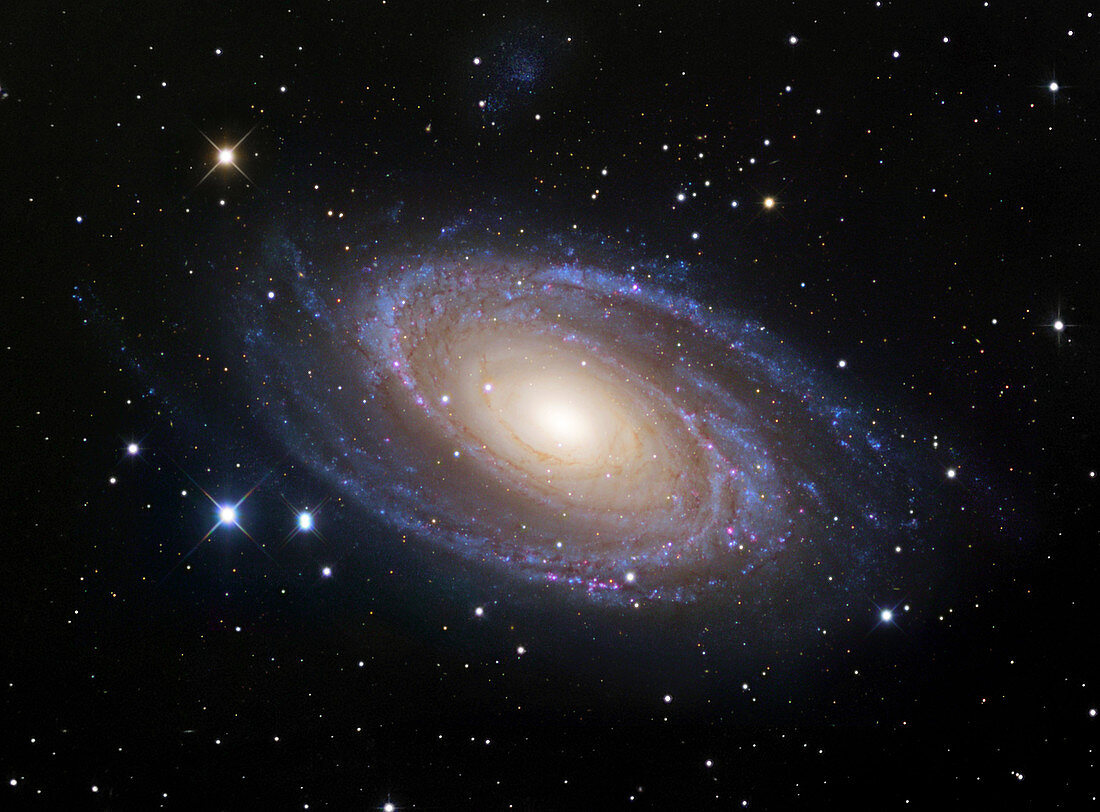 Spiral galaxy (M81)