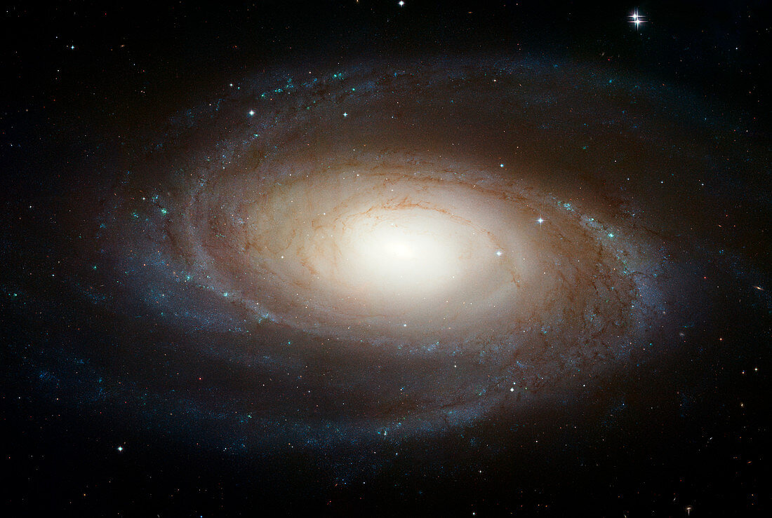 Spiral galaxy M81,Hubble image