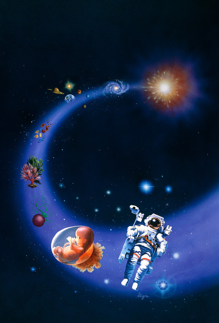 Artwork depicting the big bang & origin of life
