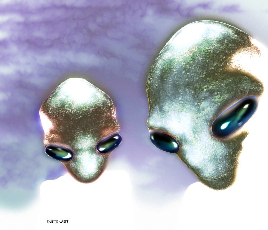 Alien heads