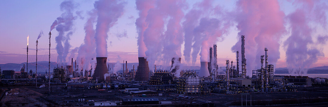 Petrochemical plant