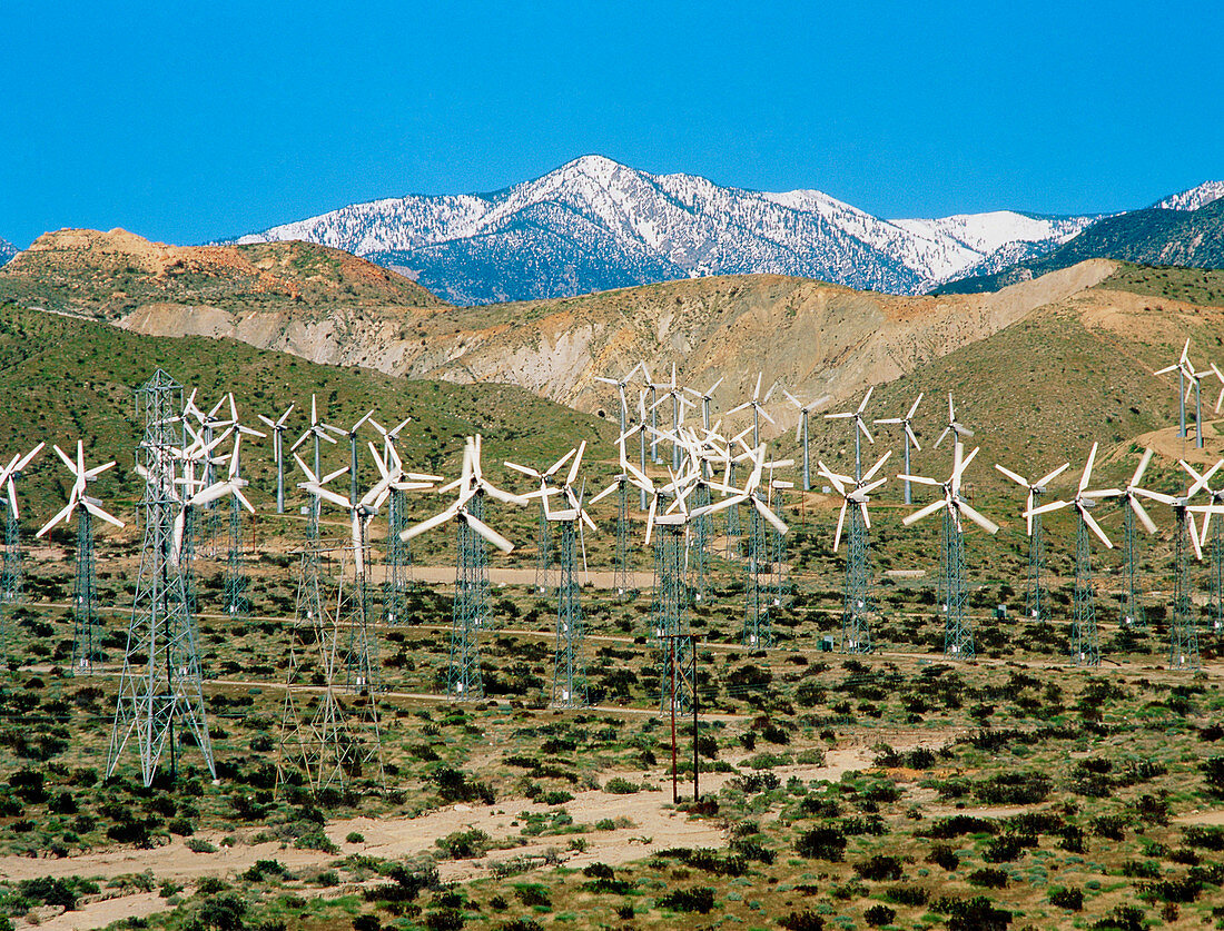 Wind farm,San Gorgonio Pass,California