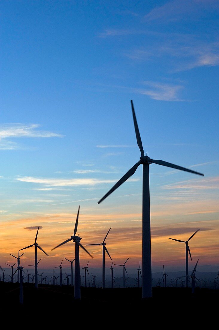 Wind turbines,California,USA