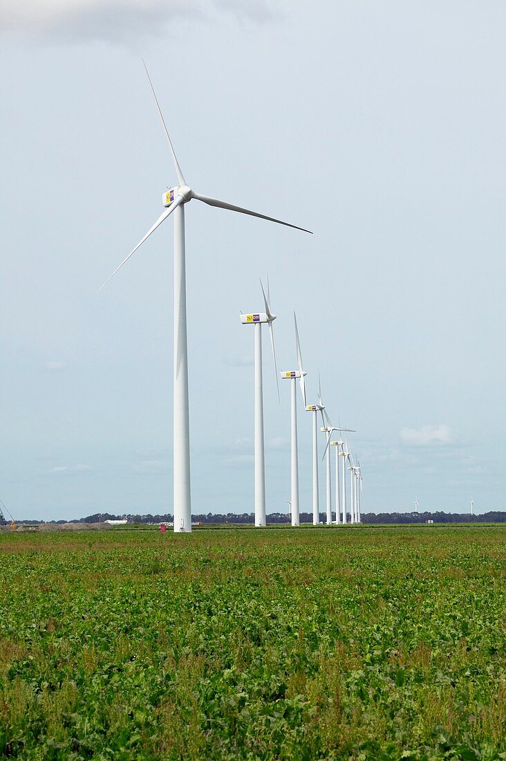 Wind turbines,Netherlands