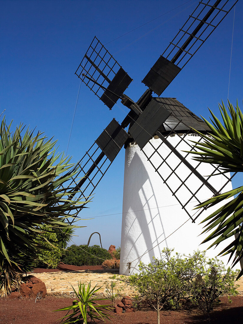 Windmill,Canary Islands