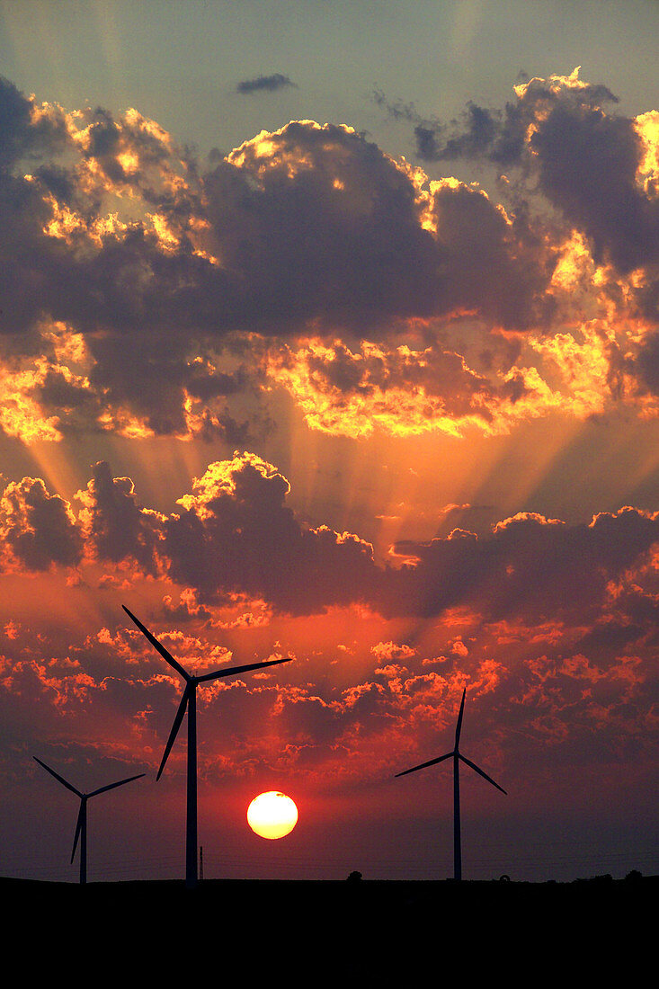 Wind turbines at sunset