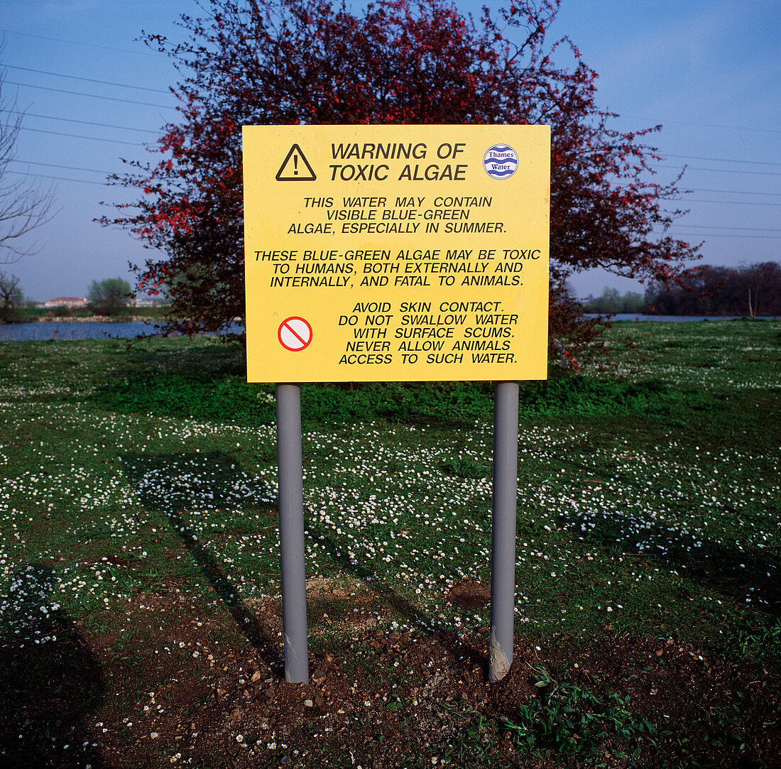 Toxic algae warning sign