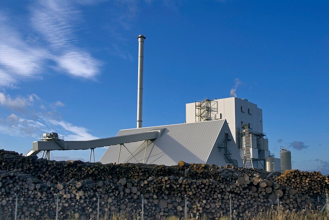 Steven's Croft Biomass Power Station
