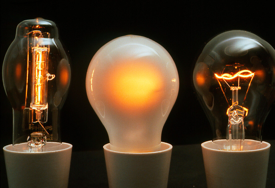 Halogen and normal incandescent light bulbs