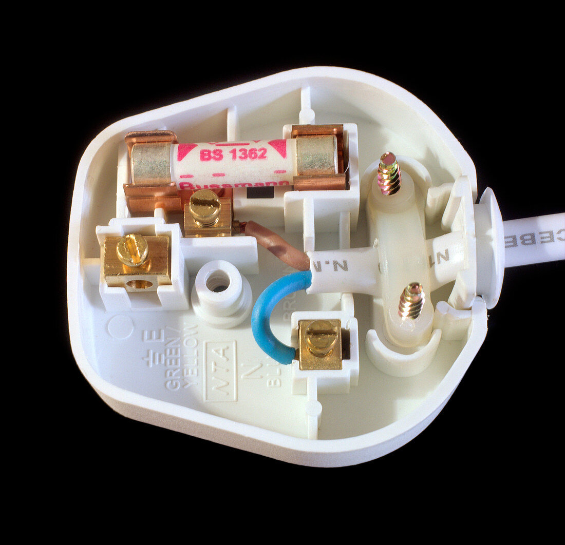 Inside an electrical plug
