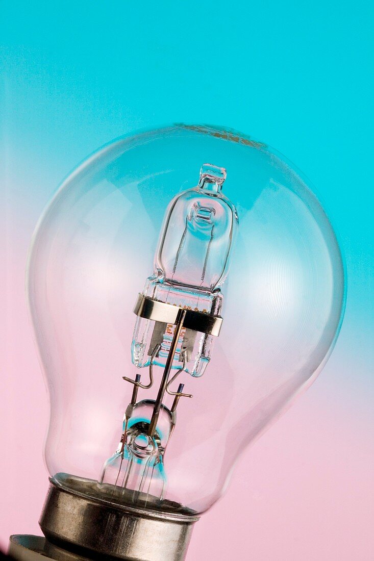 Halogen light bulb