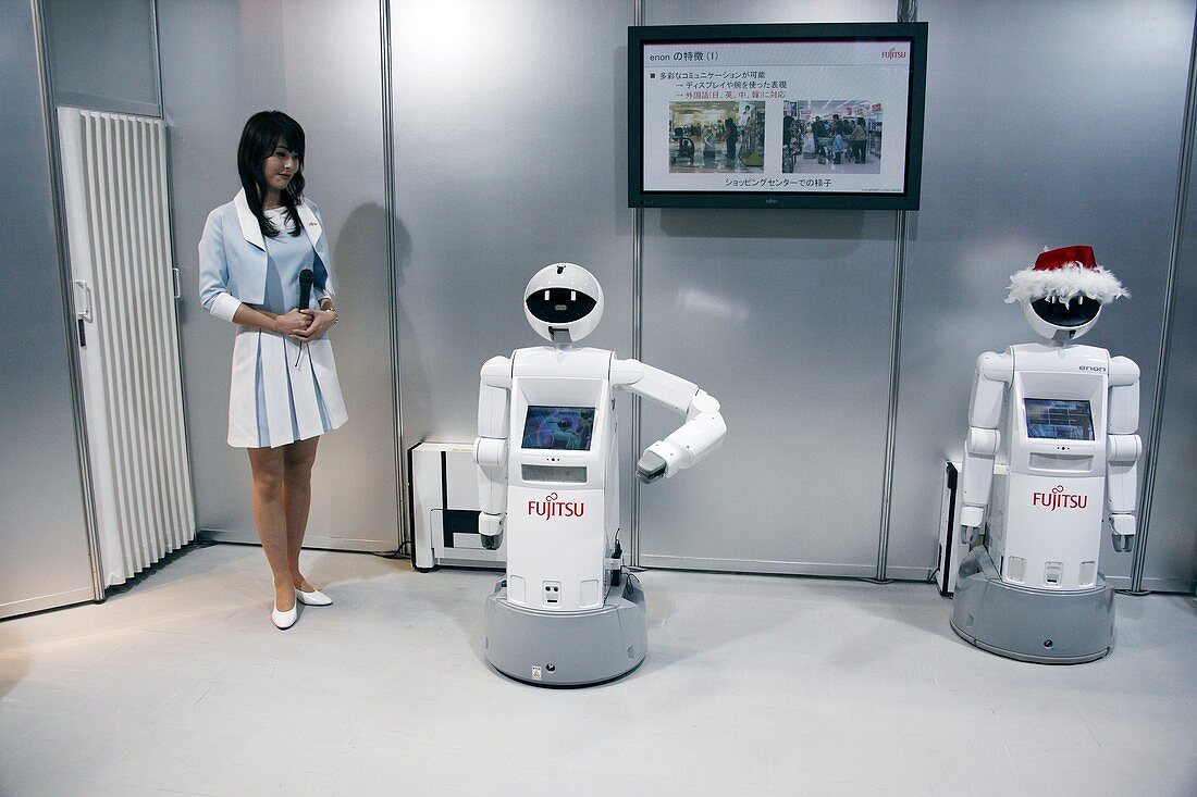 Domestic service robots,Japan