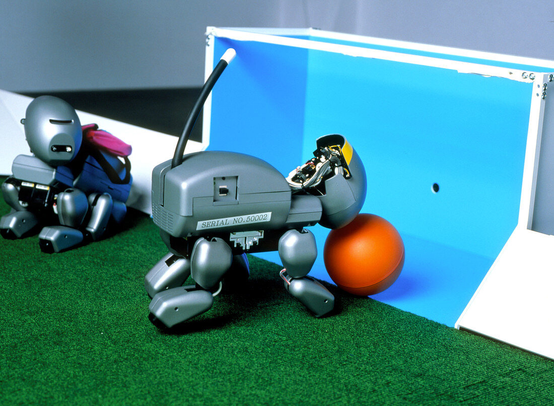 Legged Sony robot scores a goal at RoboCup-98