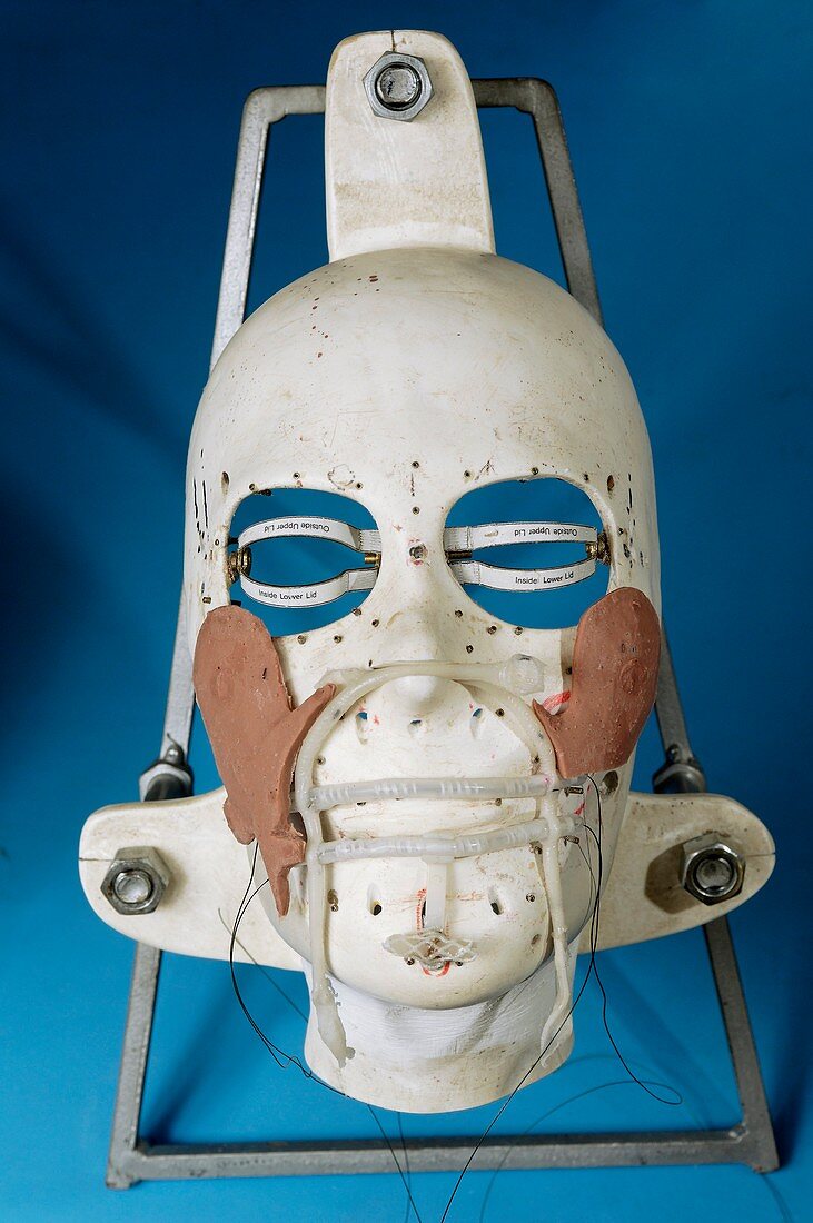 Humanoid robot skull
