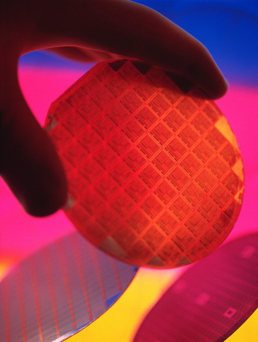 Silicon chips on wafer