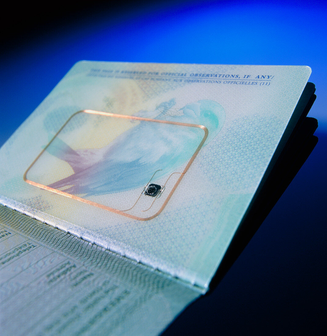 Biometric passport chip