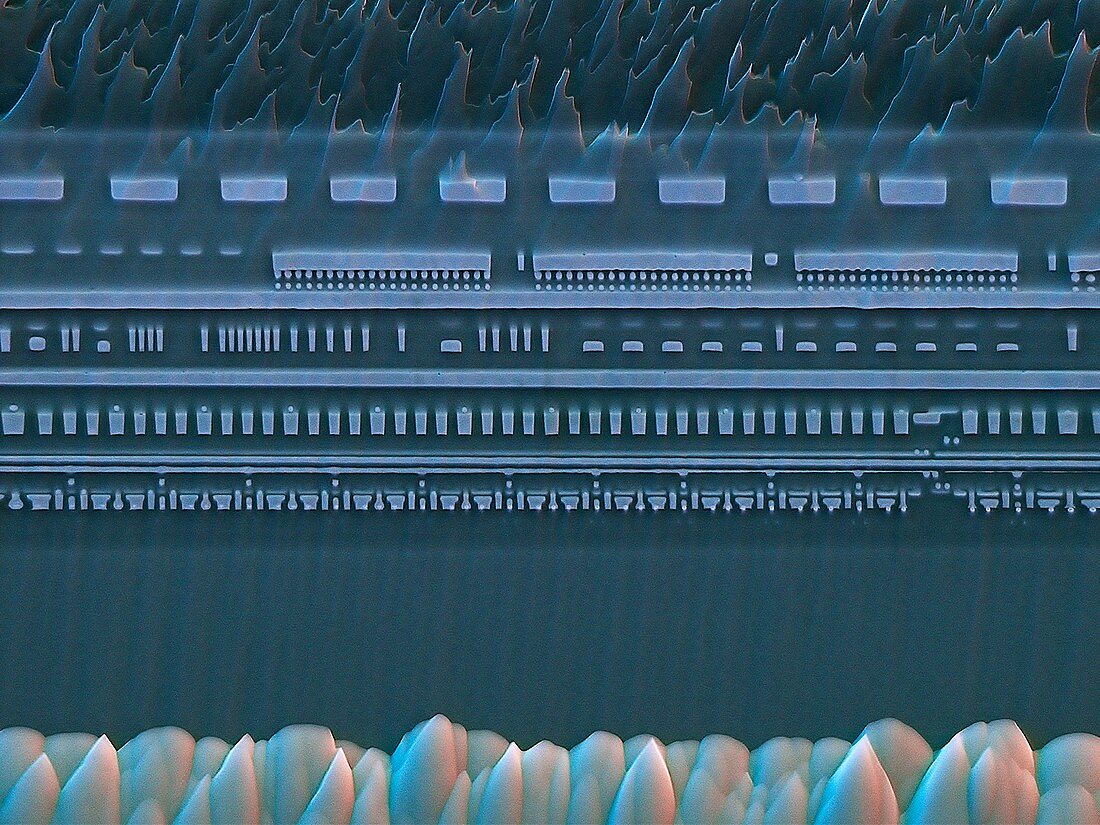 Microchip cross-section,SEM