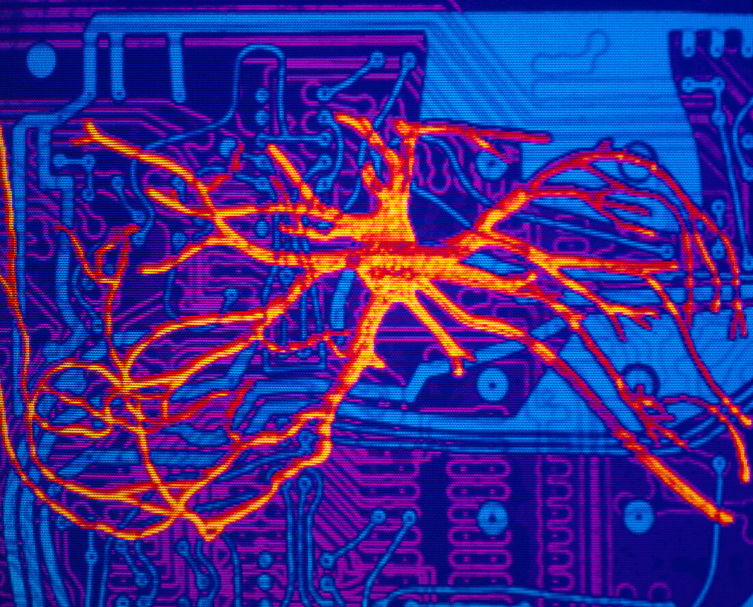 Neural network: artwork of nerve cell on chip