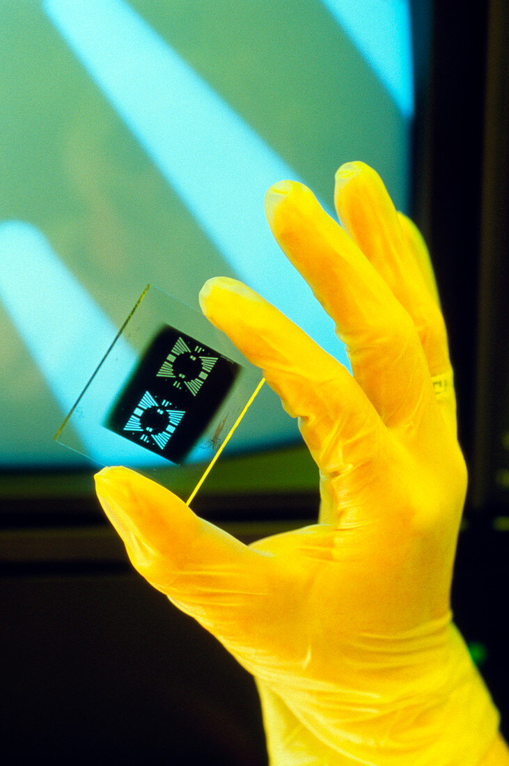 Neuronal transistor in gloved hand