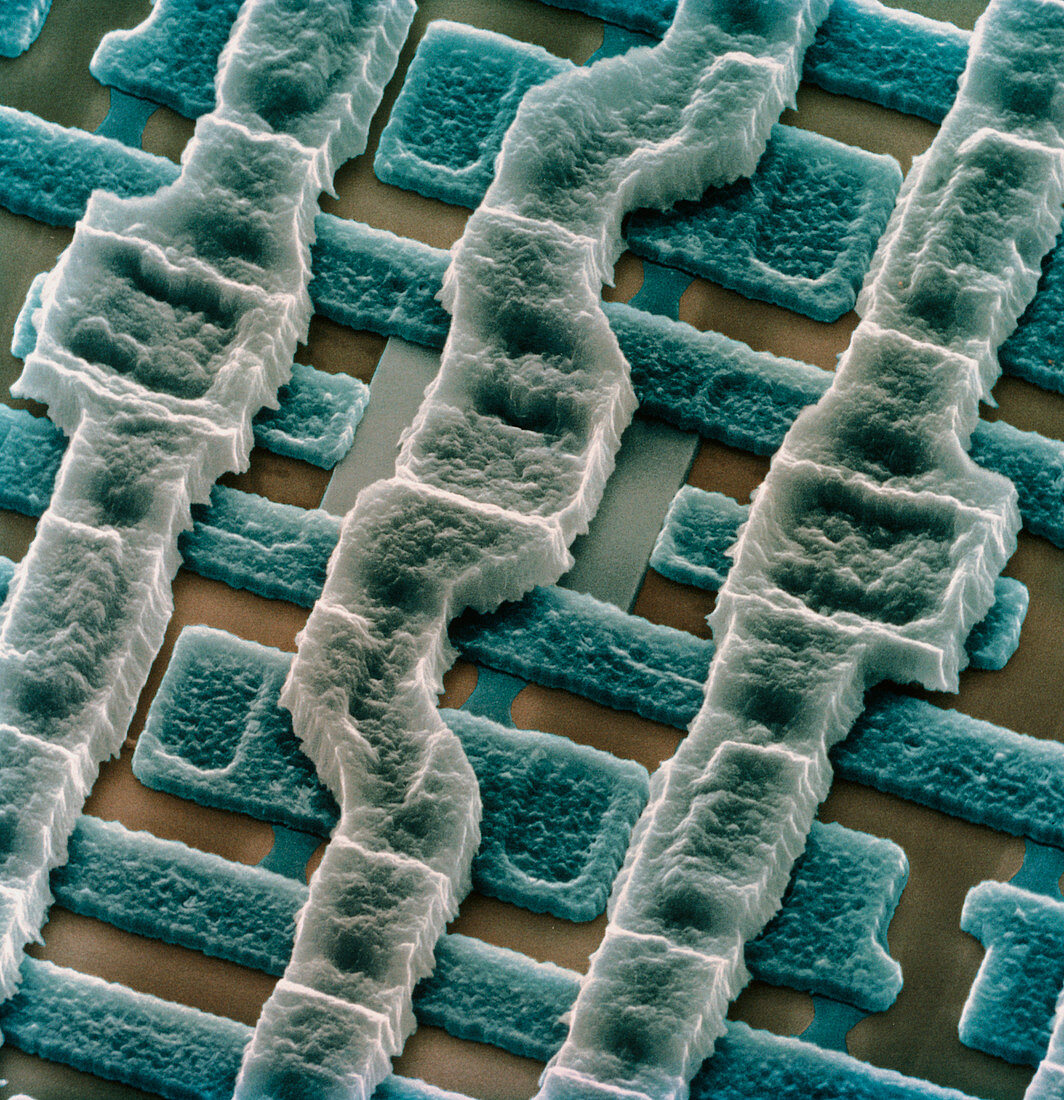 SEM of surface of memory chip