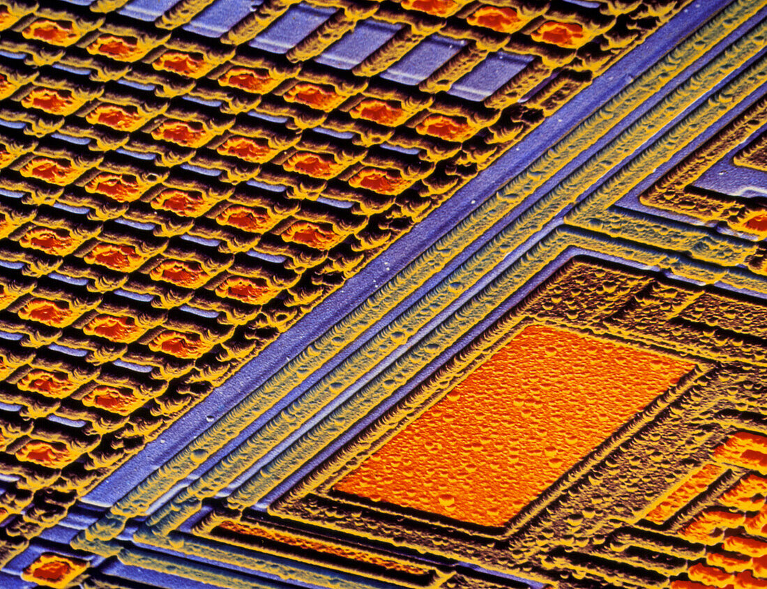 Coloured SEM of surface of an EPROM silicon chip