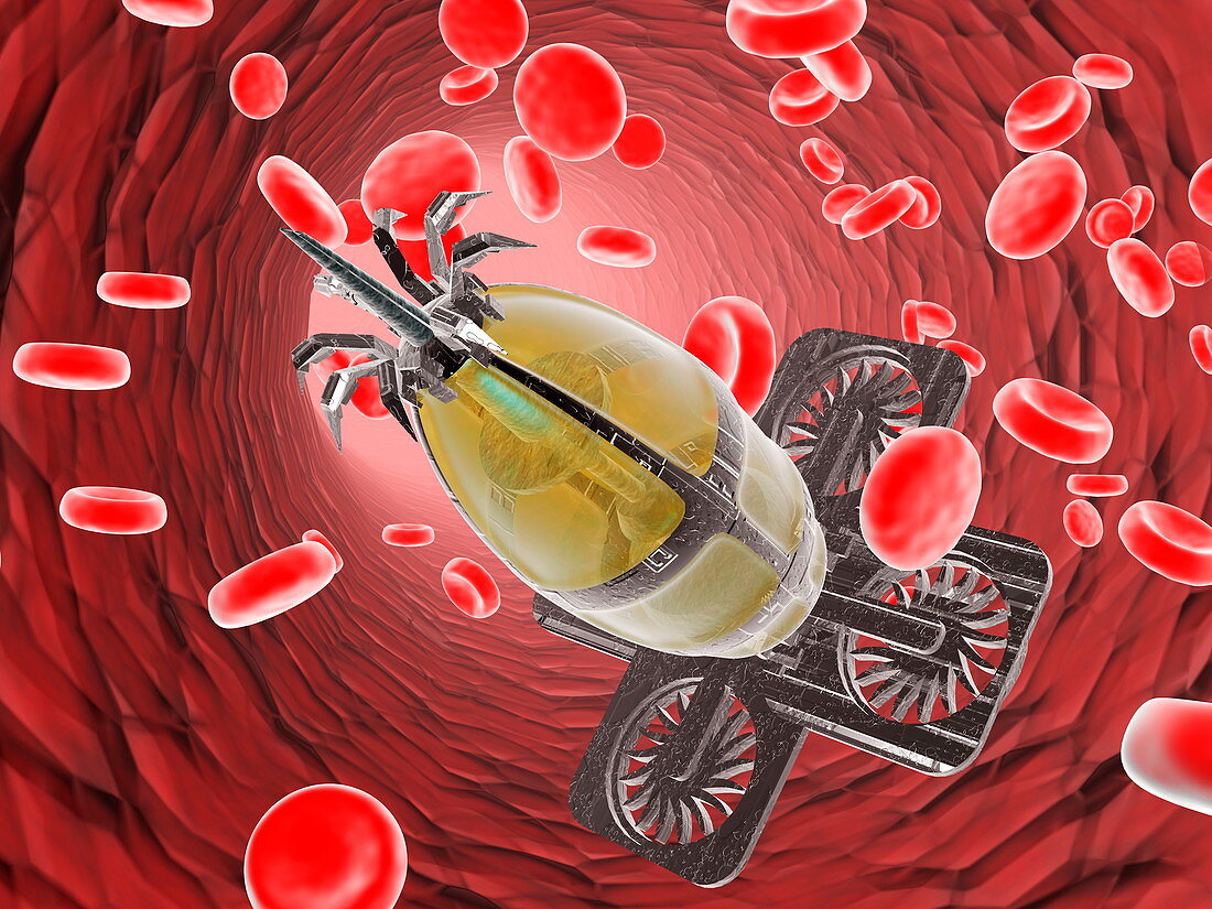 Nanorobot in the bloodstream