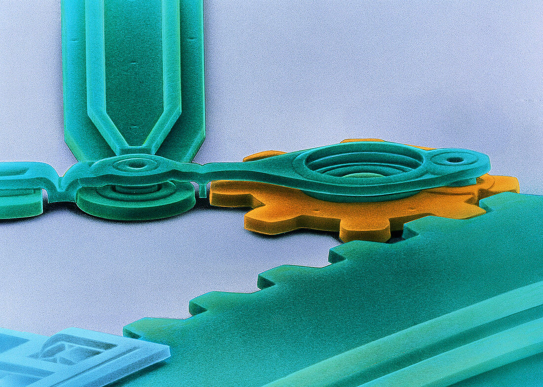 Scanning electron micrograph of a micromotor gear