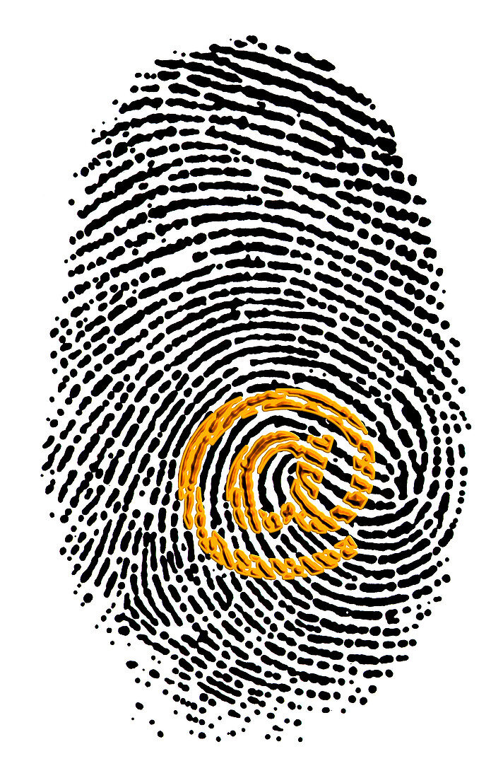 Artwork of e-mail address '@' sign & a fingerprint