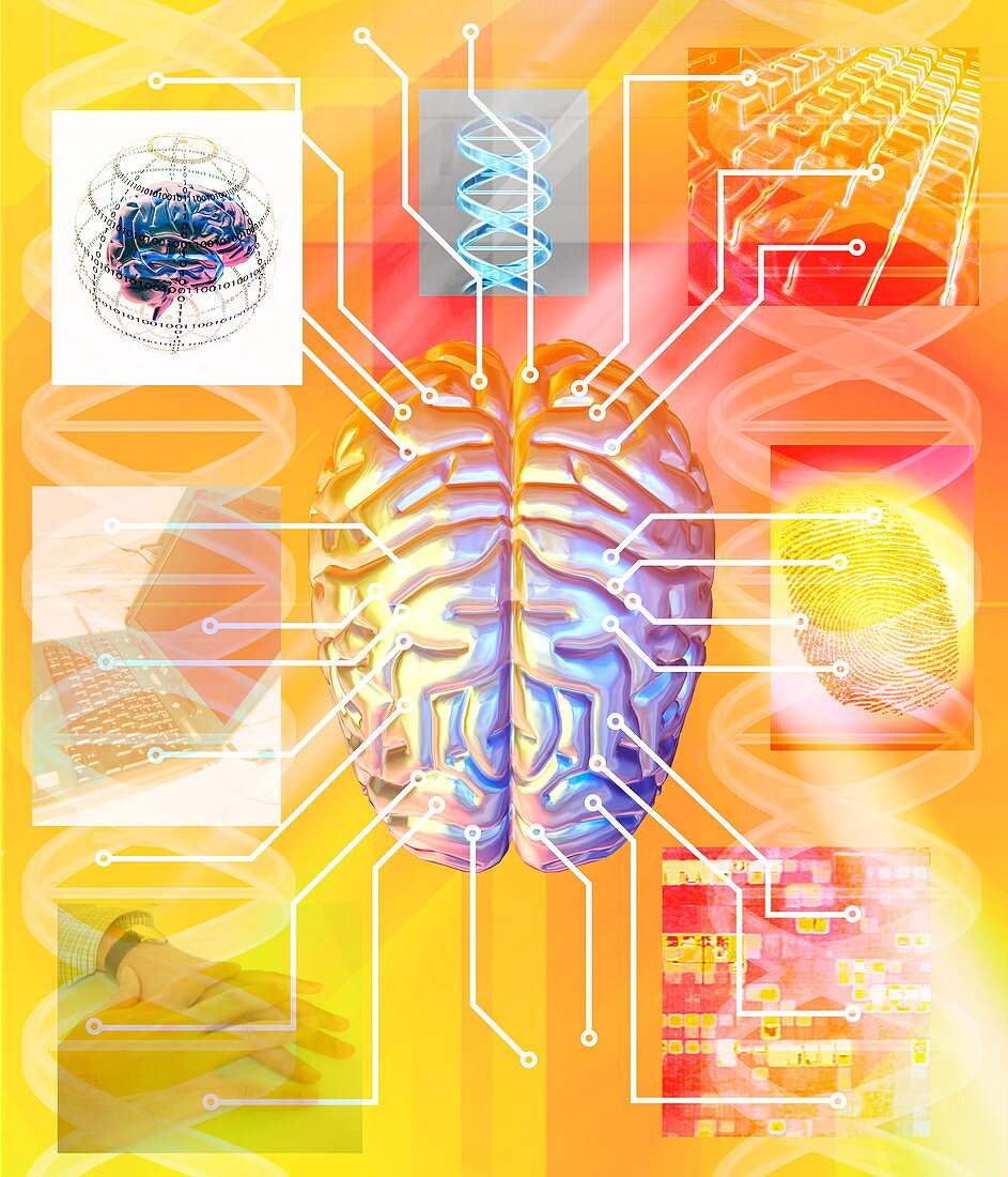 Artificial brain