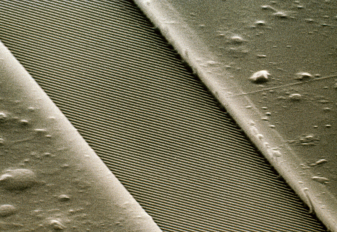 SEM of compact disc musical layer