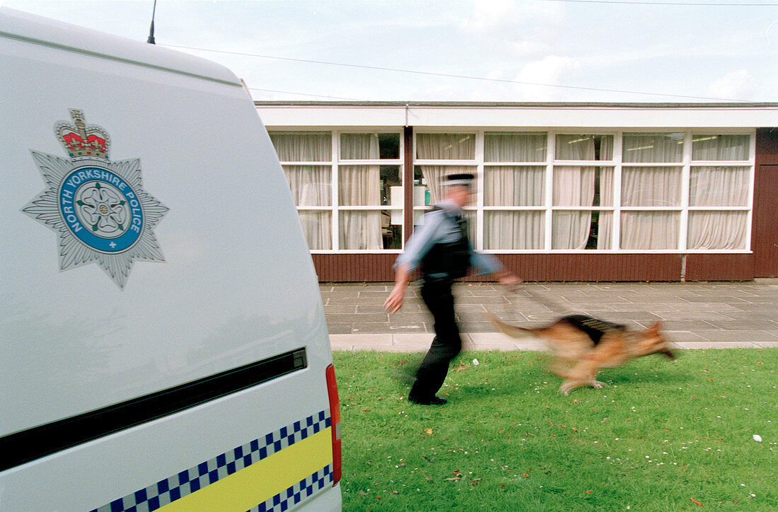 Police dog chase