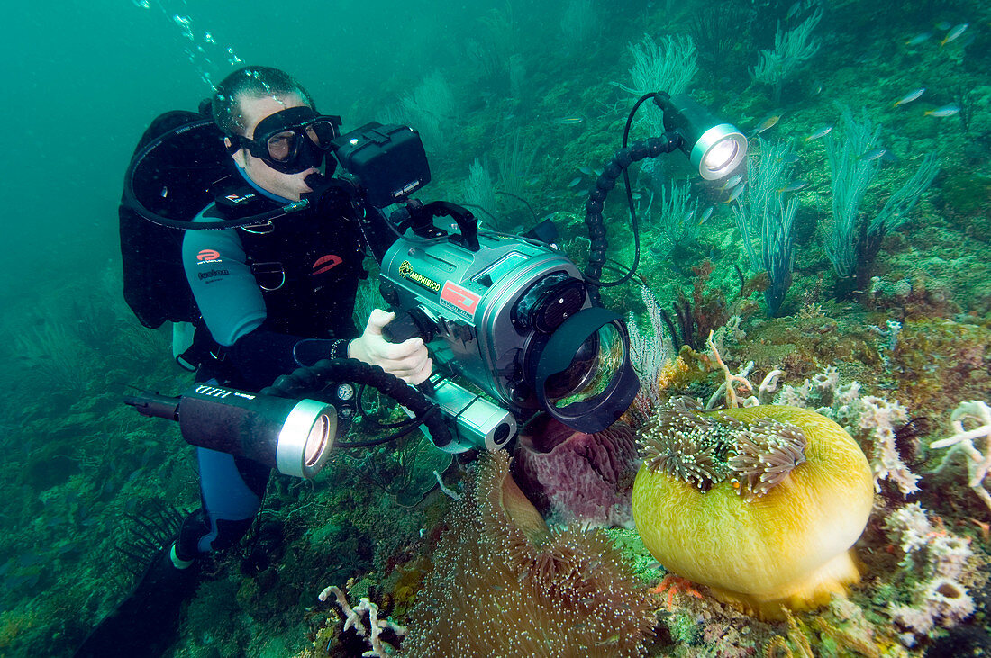 Diver filming an anemone