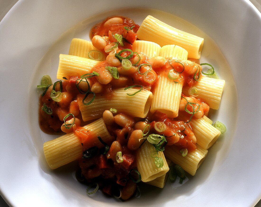 Rigatoni with spicy bean sauce on a plate