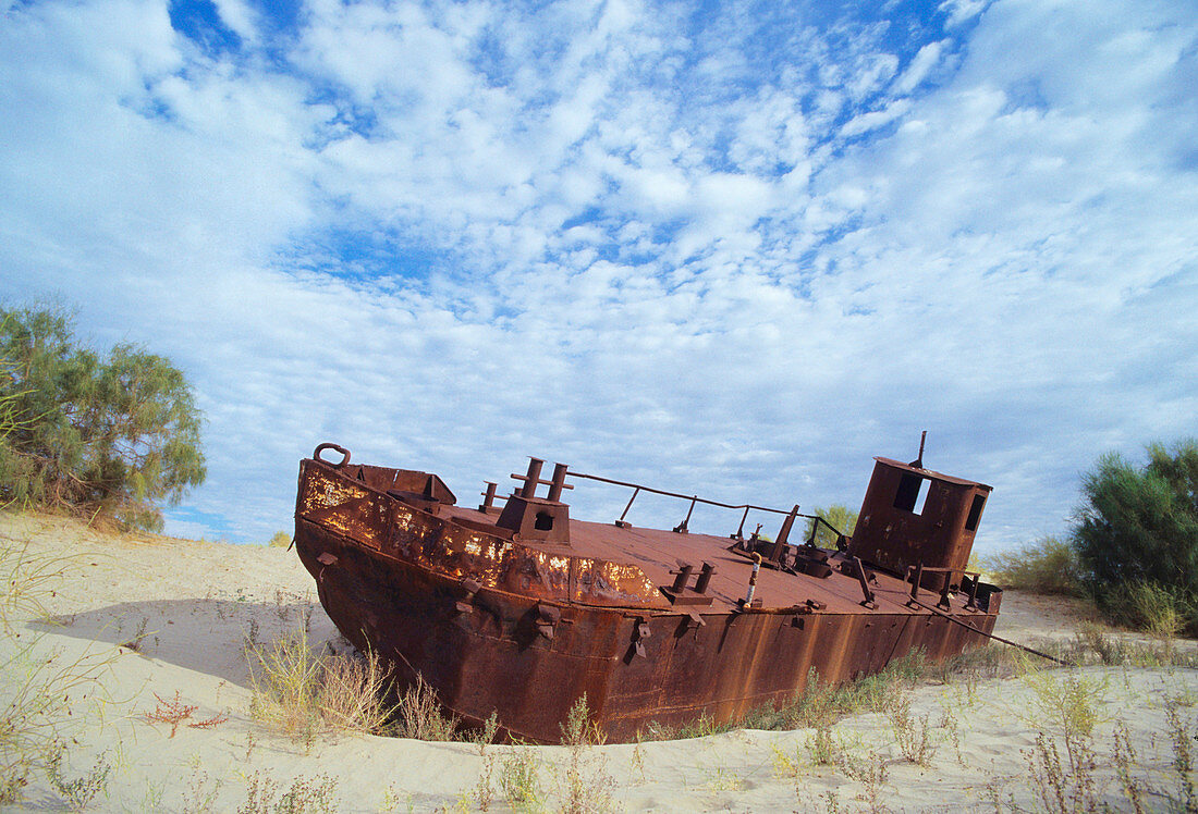 Drying of the Aral Sea,rusting ship