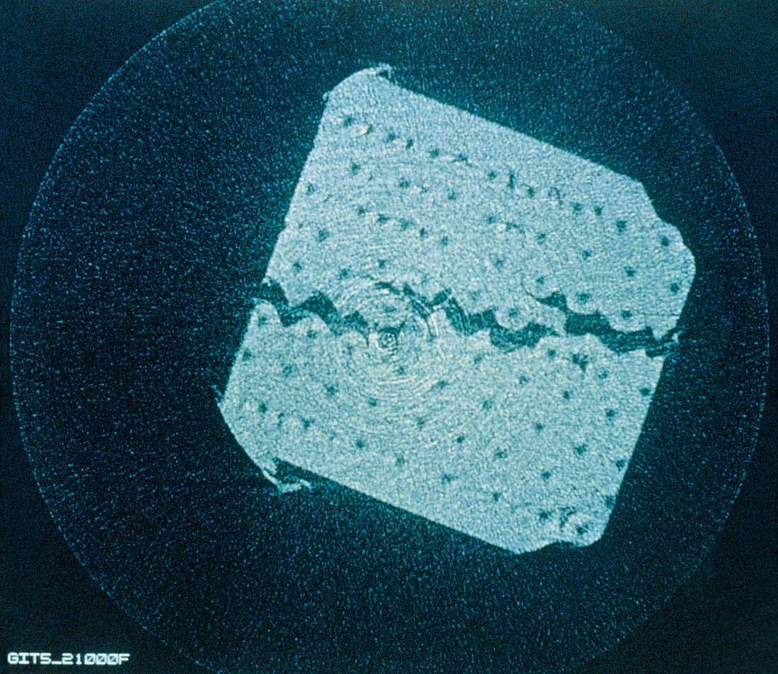 X-ray microscope image of crack in composite