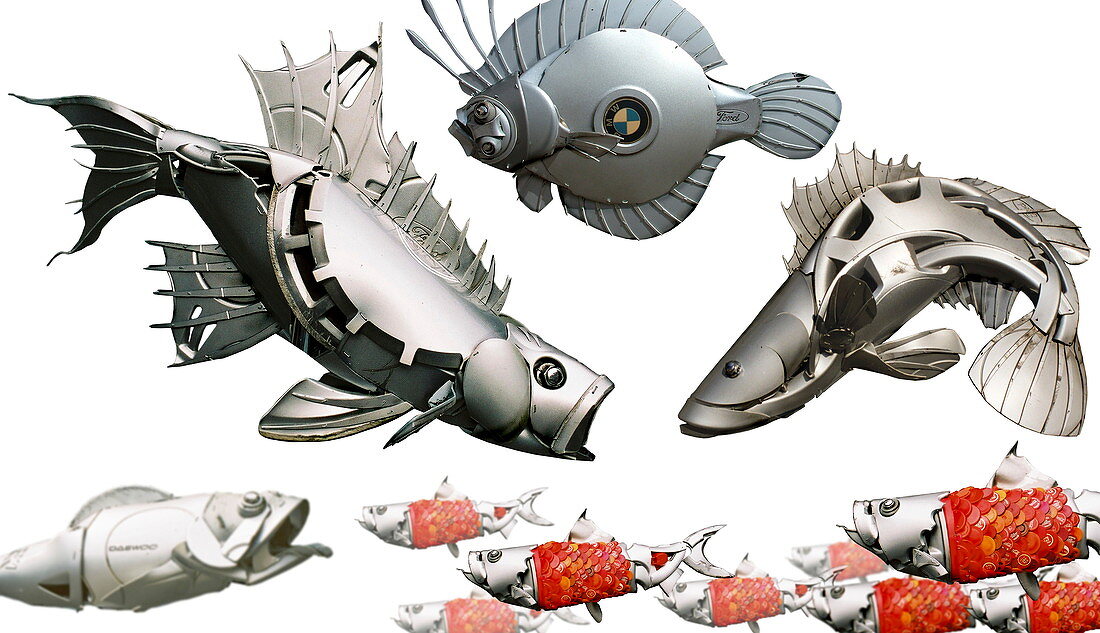 Fish sculptures