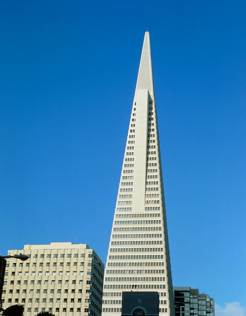 Trans America building,San Francisco,USA