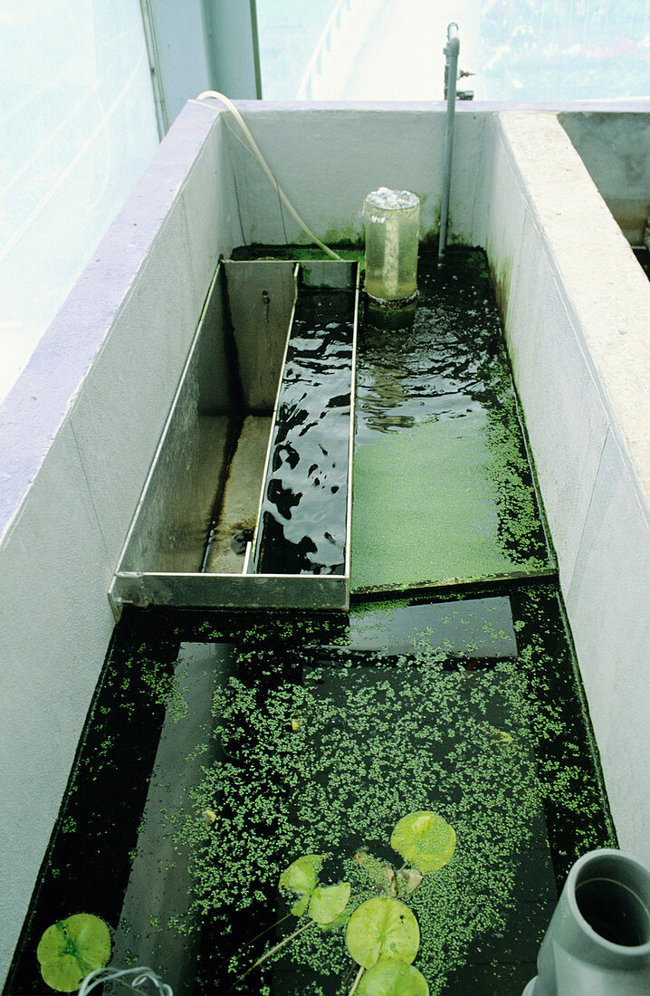 Waste water treatment