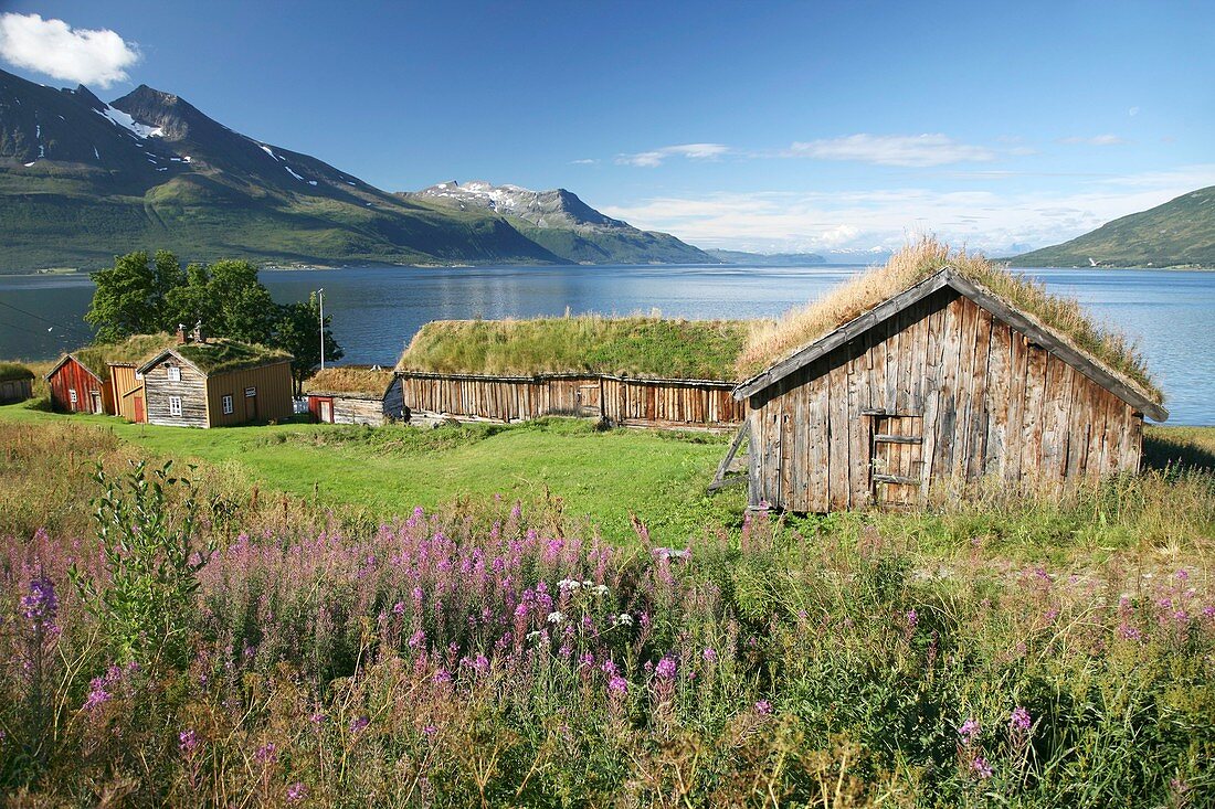 Turf roofed wooden huts,Norway