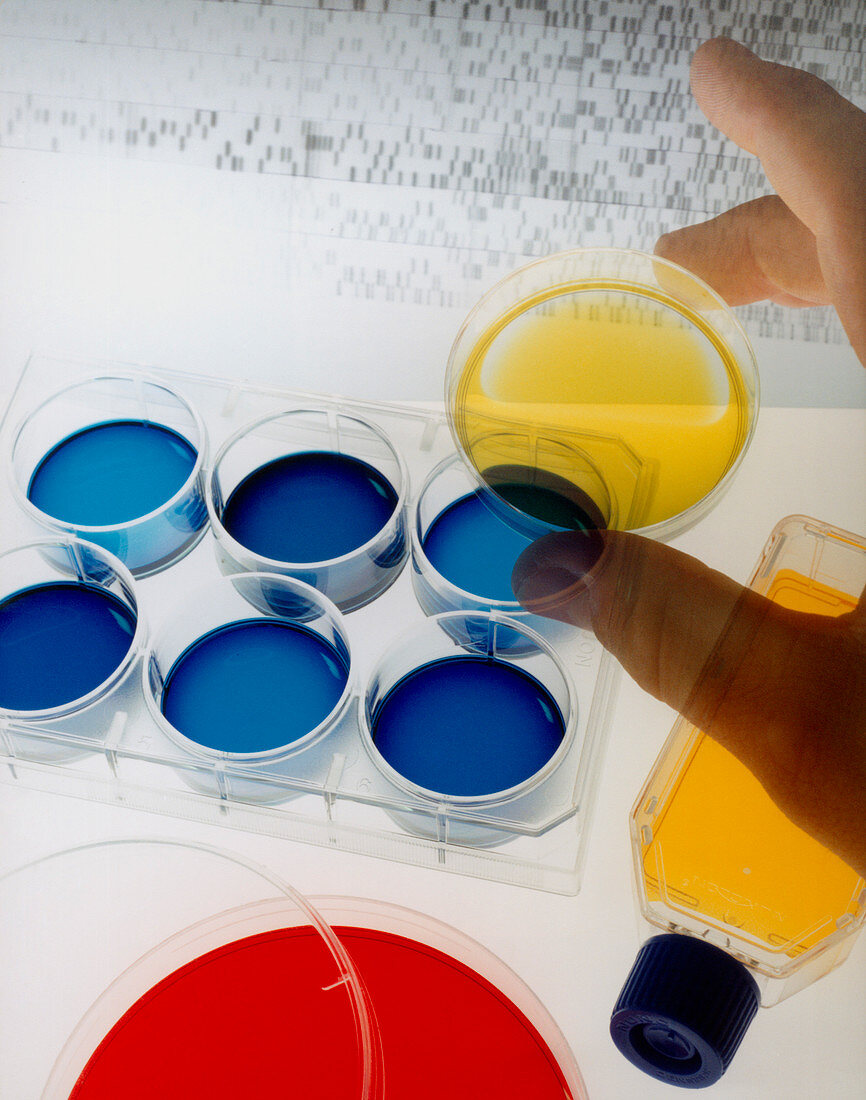 Laboratory glassware with DNA profile
