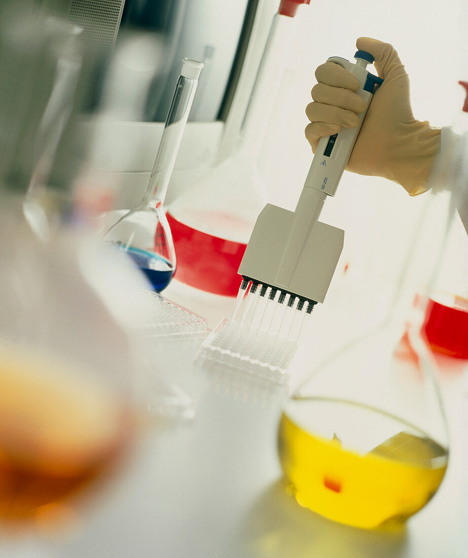 Hand pipettes chemical solution in a laboratory