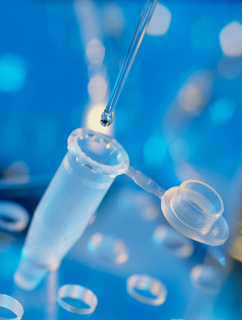 Pipette filling a vial with a clear solution