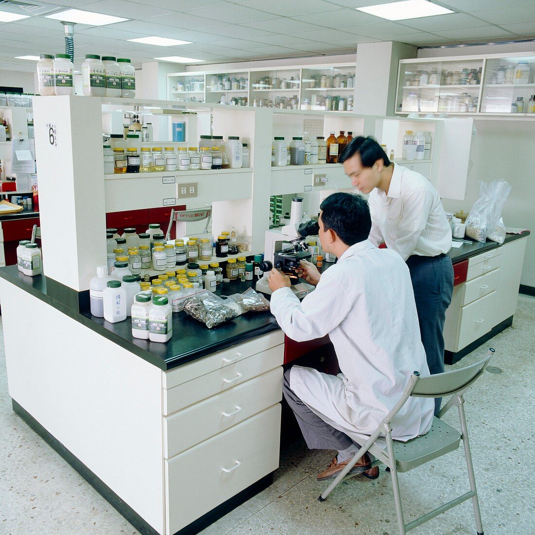 Laboratory researchers examining herbal medicine