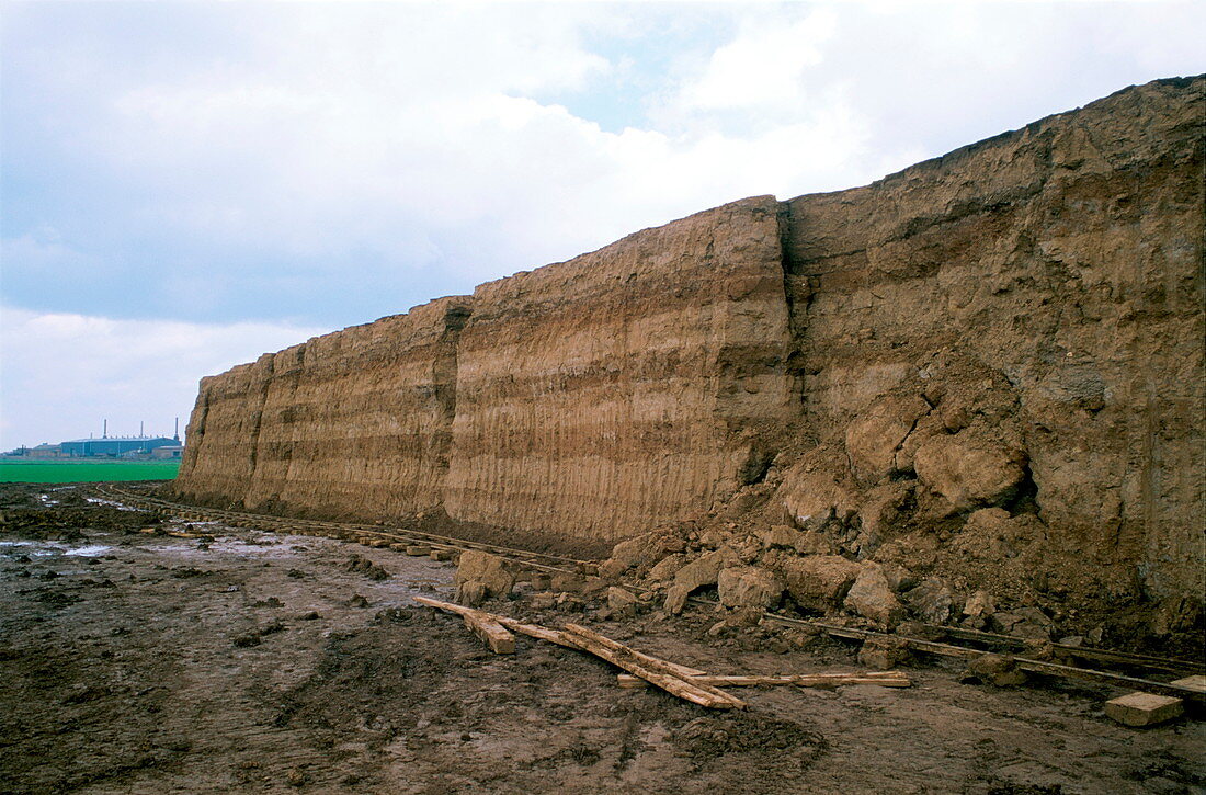Clay deposits