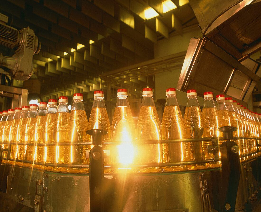 Bottles of cooking oil on a production line