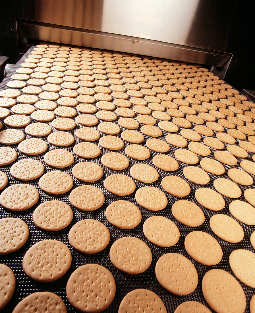 Biscuit manufacture