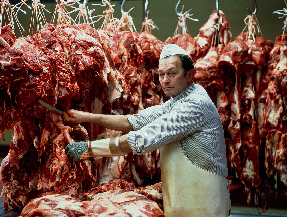 Pig carcasses being butchered in an abattoir