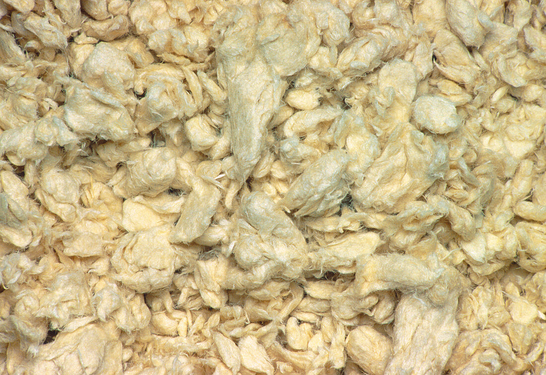 Close-up of pulp from which paper is made